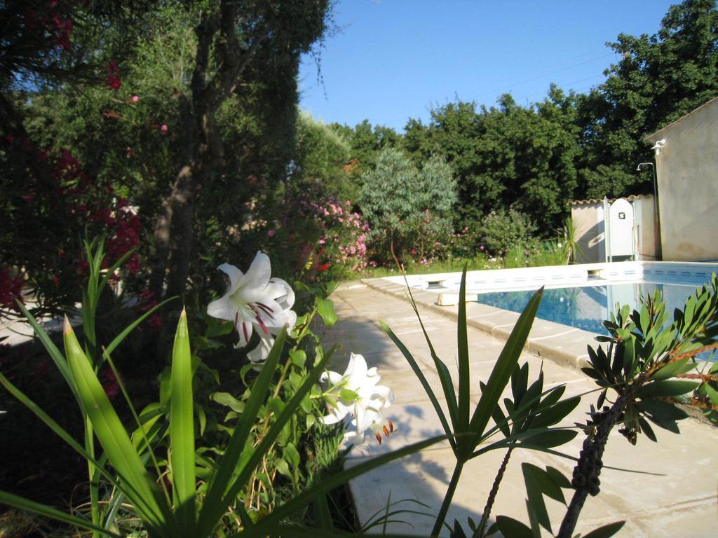 Le Clos Olives Comps  Номер фото